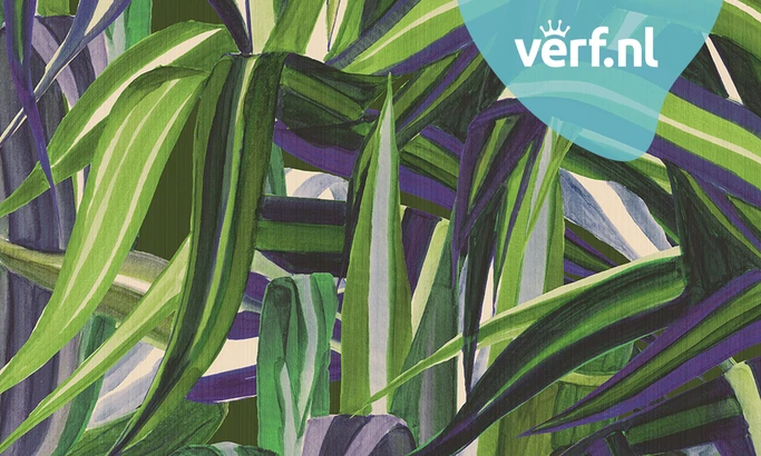 Arte Expedition Java Northern Lights 72012