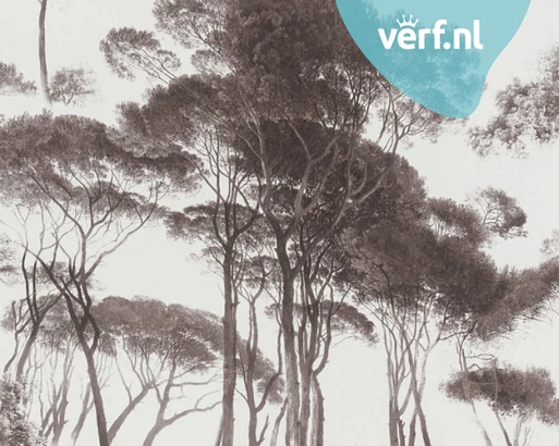 As Creation History of Art 37651 1