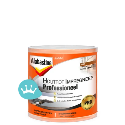 Alabastine Houtrot Impregneer Professioneel 120 mililiter packshot