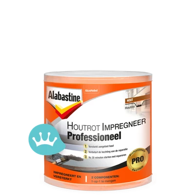 Alabastine Houtrot Impregneer Professioneel 120 mililiter packshot