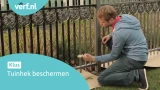 Man in blauwe trui schildert een metalen tuinhek met Hammerite Metaallak en een kwast om het te beschermen tegen roest. Linksboven staat het Verf.nl-logo en linksonder de tekst: "Tuinhek beschermen."