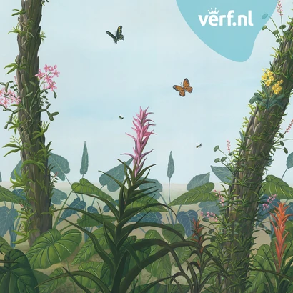 Snijder Co Tree Ferns