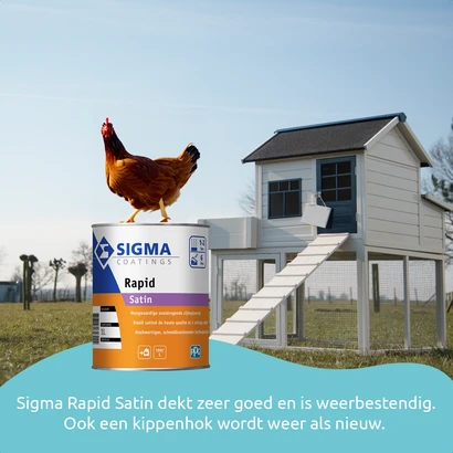 Een strak wit geschilderd kippenhok met een kip die bovenop een blik Sigma Rapid Satin zit. De achtergrond toont een zonnig weiland met enkele bomen. Onderin de afbeelding staat de tekst: “Sigma Rapid Satin dekt zeer goed en is weerbestendig. Ook een kipp