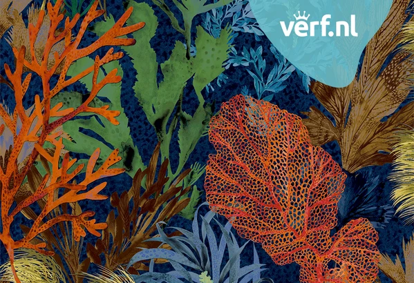 Hooked on Walls Caribbean Bora Bora 27216