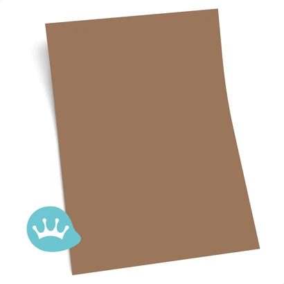 Kleurstaal Sikkens Rijks Puur Terra