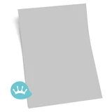 Kleurstaal Sikkens Rijks Koel Grijs