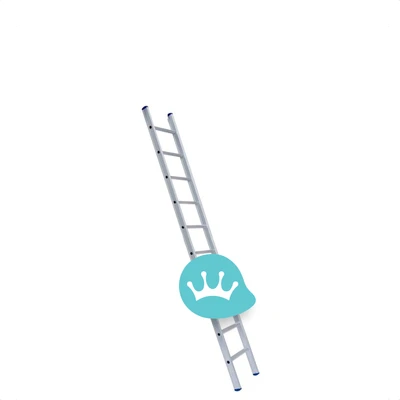 Eurostairs Enkele Ladder Recht 10 Treden packshot