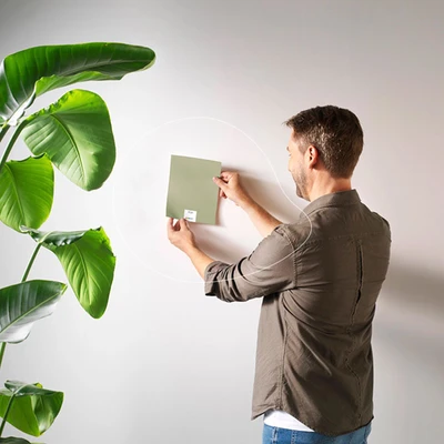 Man plakt een groen Sigma Colour Sticker kleurstaal op een witte muur om de kleur te beoordelen. Links in beeld staat een grote groene kamerplant met brede bladeren.