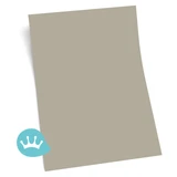 Kleurstaal Sikkens Rijks Zacht Groen