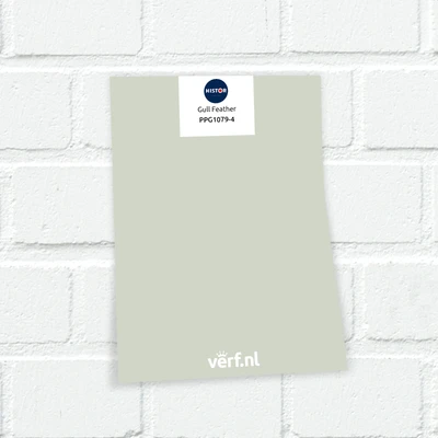 Histor Color Tester Gull Feather