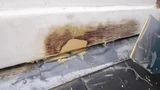 Close-up van een aangetaste houten kozijn-/dorpelrand met houtrot, deels weggeschraapt en opgevuld met houtvuller/epoxy tijdens een reparatie boven een dakrand.