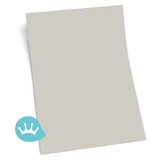 Kleurstaal Sikkens Rijks Licht Grijs