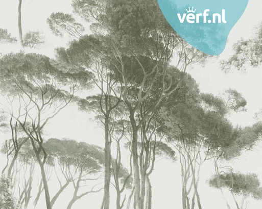 As Creation History of Art 37651 2