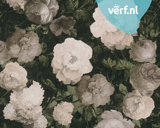 As Creation History of Art 37650 3