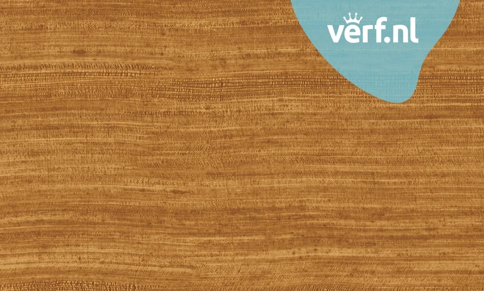 Arte Expedition Eri 72050