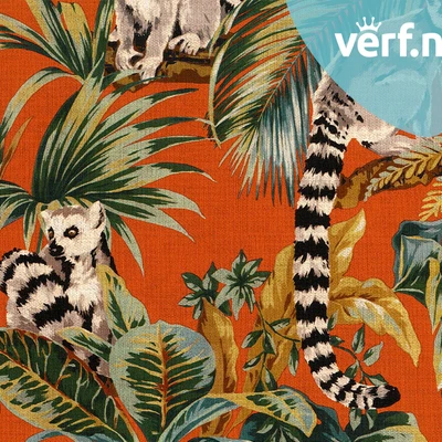 Hooked on Walls Lemuria Lemuri 60603