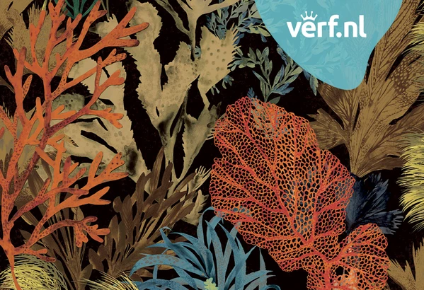 Hooked on Walls Caribbean Bora Bora 27220